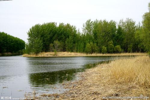 背景是河拍照,河畔光影掠影