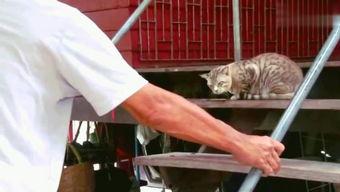 rb搞笑视频,rb搞笑视频集锦，欢乐无限