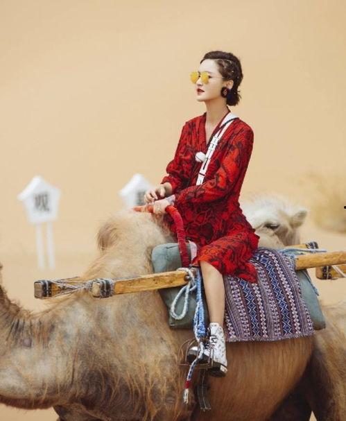 骆太太照片,照片中的优雅与魅力